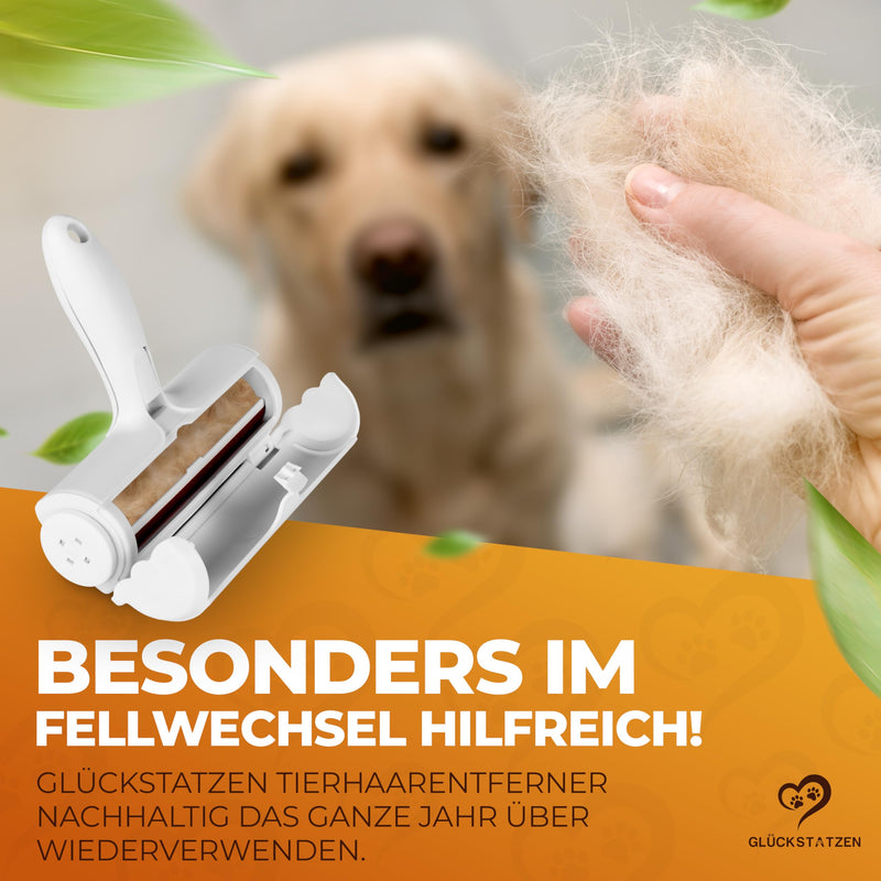 GLÜCKSTATZEN animal hair remover, lint roller for animal hair, lint roller for dog hair and cat hair, reusable - animal hair brush for sofa, bed, carpet, car, scratching post, white - BeesActive Australia