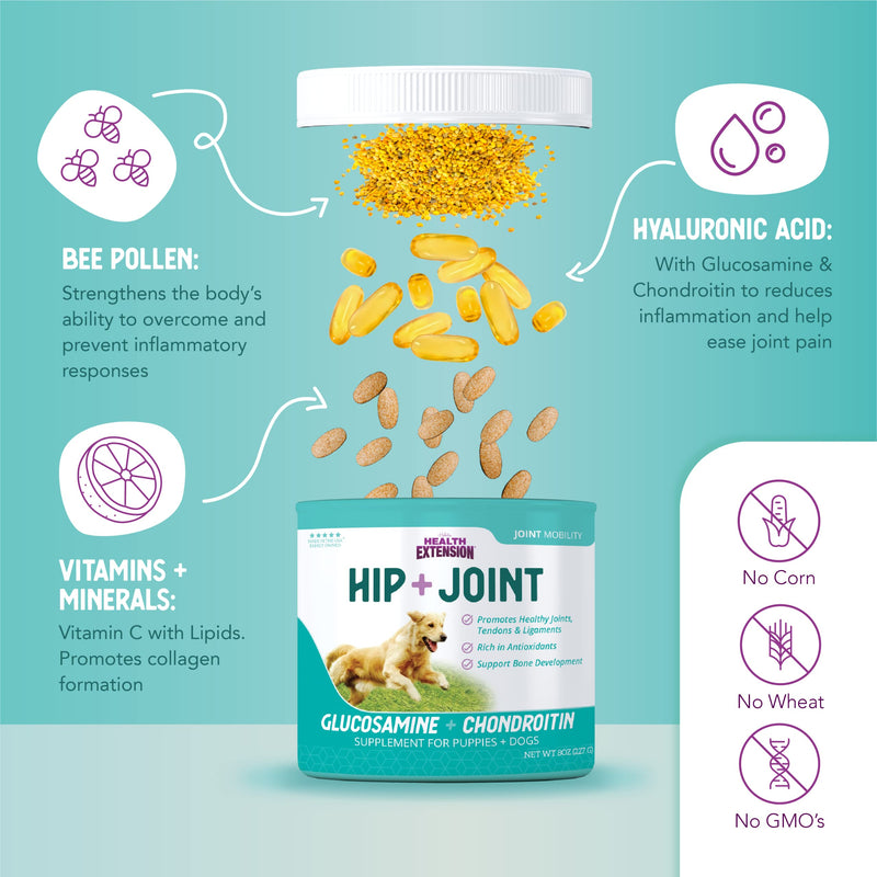 Health Extension Chondroitin with Glucosamine for Dogs, 8oz - Arthritis Pain Relief, Joint & Hip Supplement, Cheese Flavored Powder 8 Oz