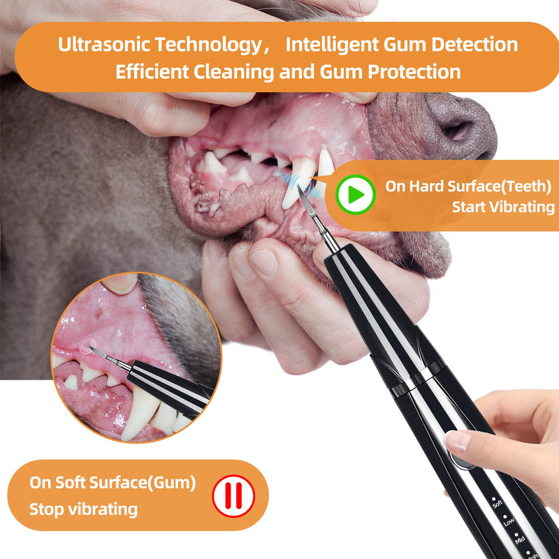 Dog Plaque and Tartar Remover for Teeth, Ultrasonic Pet Tooth Cleaner, Electric Teeth Cleaning Kit for Dogs and Cats, 5 Modes, LED Light, 3 Cleaning Heads, Rechargeable - BeesActive Australia