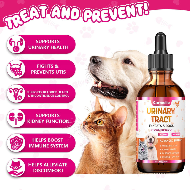 Cat & Dog Urinary Tract Support Drops with Cranberry – Kidney & Bladder Health– Natural Supplement for Pet Wellness & Comfort - BeesActive Australia