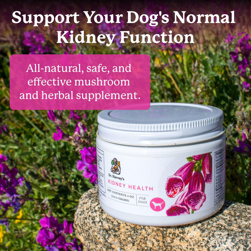 Dr. Harvey's Kidney Health Kidney Support Supplement for Dogs (4 Ounces) - PawsPlanet Australia