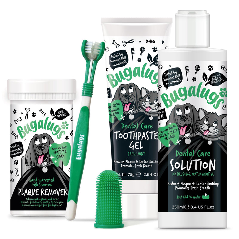 BUGALUGS Starter Dental Kit