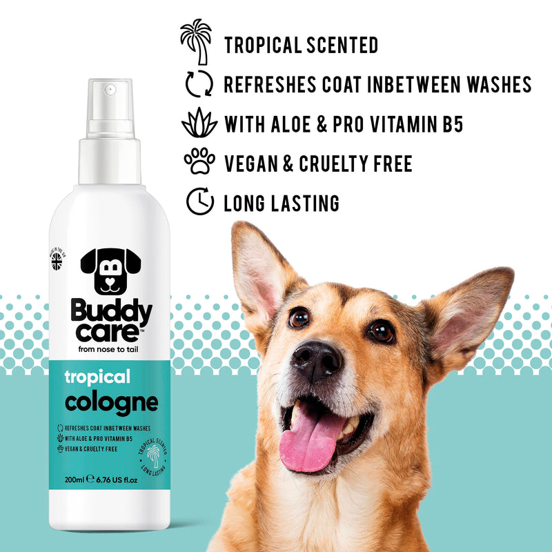 Buddycare Dog Cologne - Tropical - Refreshing and tropical scented dog perfume - Refreshes between dog washes (200 ml, 1 piece) - BeesActive Australia