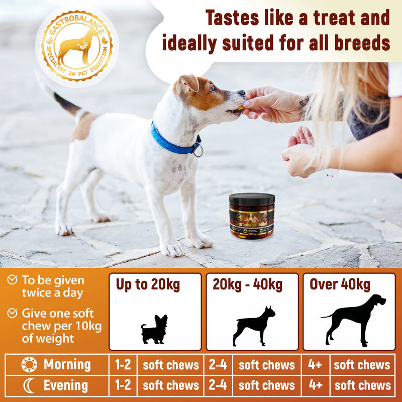 dog coprophagia relief – 100% natural ingredients coprophagia deterrent for dogs – 60 coprophagia soft chews to stop stool eating (Chicken) Chicken