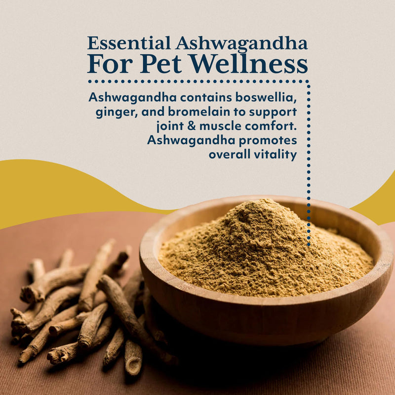 Ayush Pet Ashwagandha Capsules for Dogs & Cats - Organic Ashwagandha Root Extract for Calm and Daily Balance, Adaptogenic Wellness Supplement for Pets, 500mg Per Capsule - 120 Servings