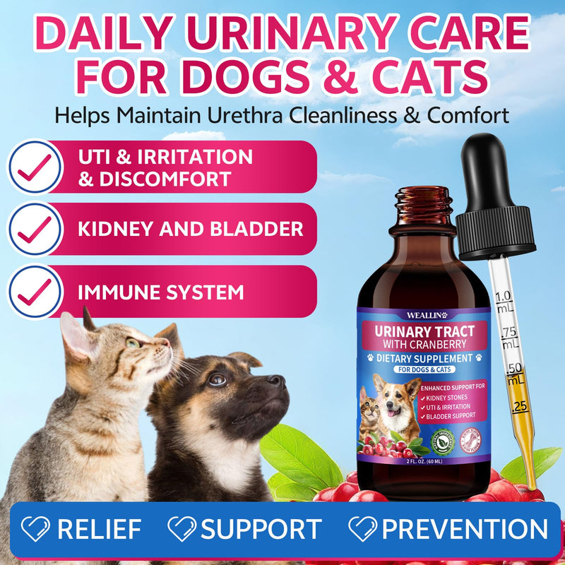 Dog Flea and Tick Prevention Soft Chews + Cat & Dog Urinary Tract Infection Treatment with Cranberry, Dual-Action Natural Wellness
