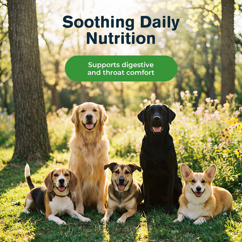 Slippery Elm Bark Powder for Dogs - Organic Herbal Digestive Support for Sensitive Stomachs, Gentle Gut & Throat Comfort, 2 fl oz
