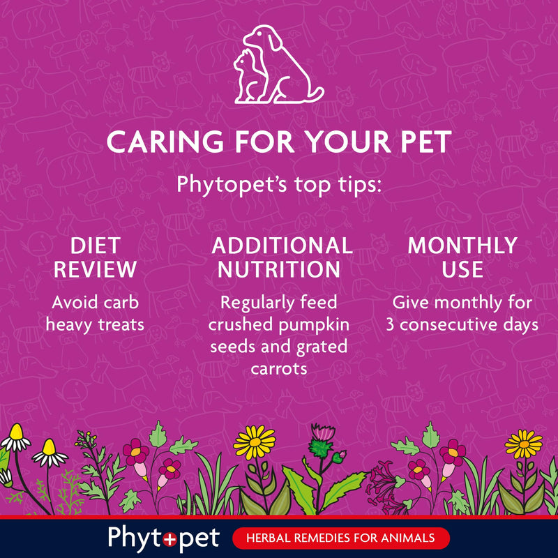 Phytopet Wormwood Complex, All Natural Pet Remedy Intestinal Hygiene, Health and Wellbeing, Herbal Supplements for Dogs and Cats, 30ml - 100% Herbal Phytopet Pet Supplies