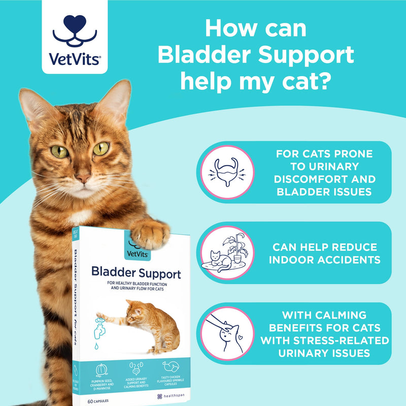 Bladder Support for Cats (60 capsules) | Urinary Health for Cats | Helps reduce indoor accidents | Bladder complex with pumkin seed, D-mannnise and cranberry