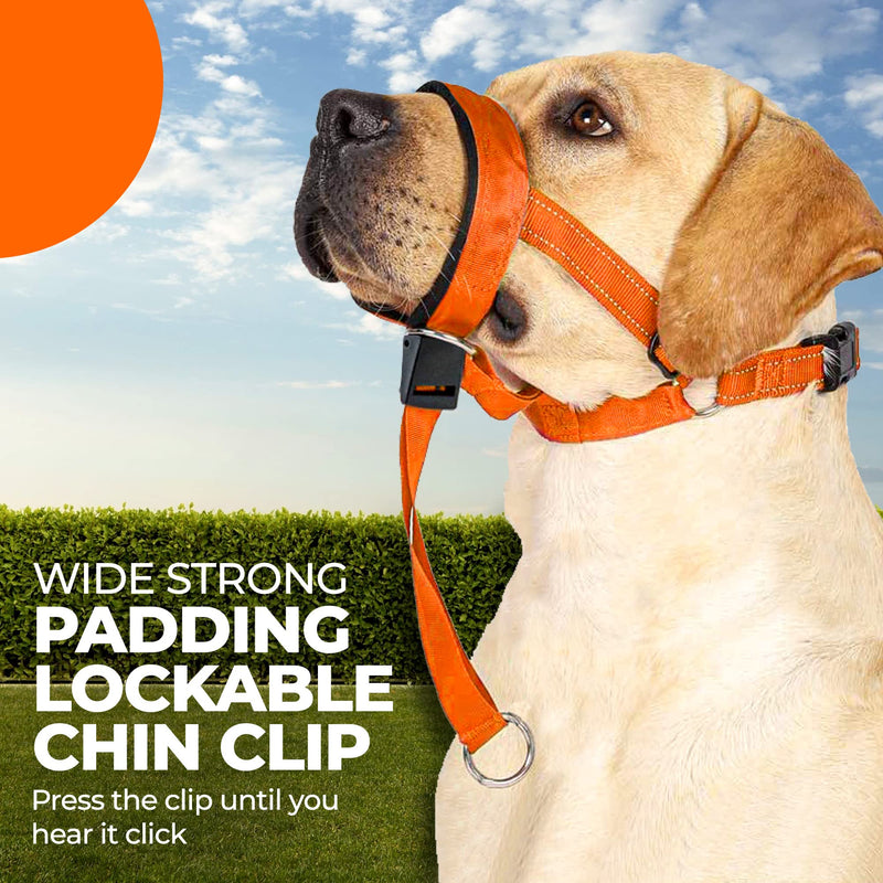 Dog Head Halter with Safety Strap - Headcollar - No-Pull Dog Collar – Perfect for Leash & Harness Training Medium and Large Dog Sizes (Size M (Pack of 1), Red) - BeesActive Australia