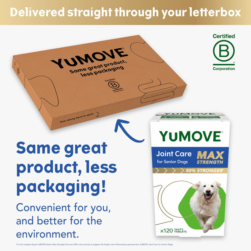 YuMOVE Max Strength Joint Supplement for Senior Dogs, Hip & Joint Aid with Glucosamine, Chondroitin, Green Lipped Mussel, 120 Tablets - Eco Friendly and Letter Box Ready Packaging | Unflavoured