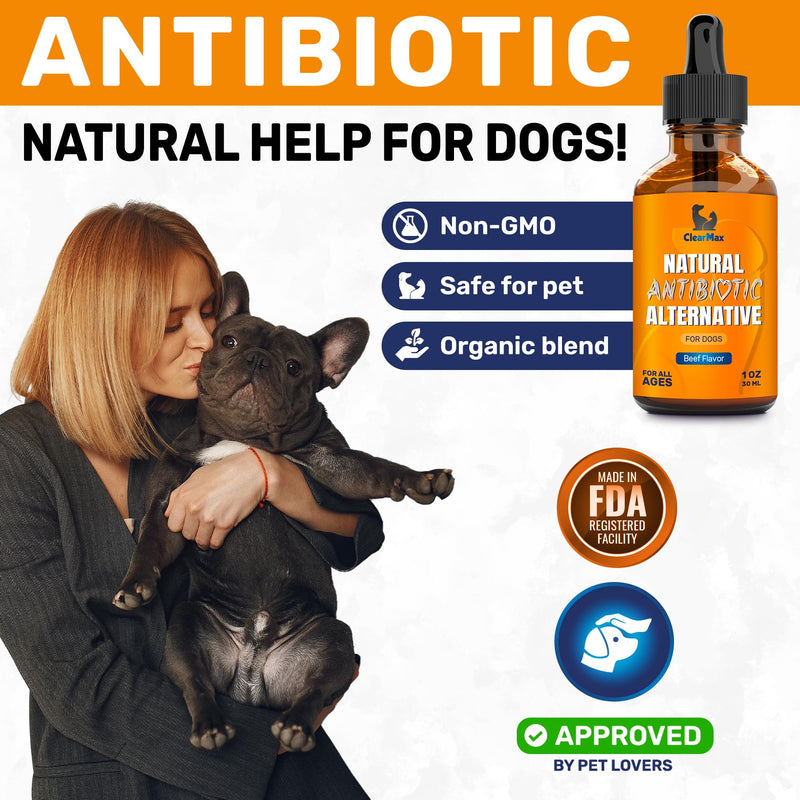 Dog Antibiotics ◆ Antibiotics for Dogs ◆ Natural Antibiotics for Dogs ◆ Antibiotic for Dogs ◆ Dog Antibiotic ◆ Beef Flavor ◆ 1 Oz - BeesActive Australia