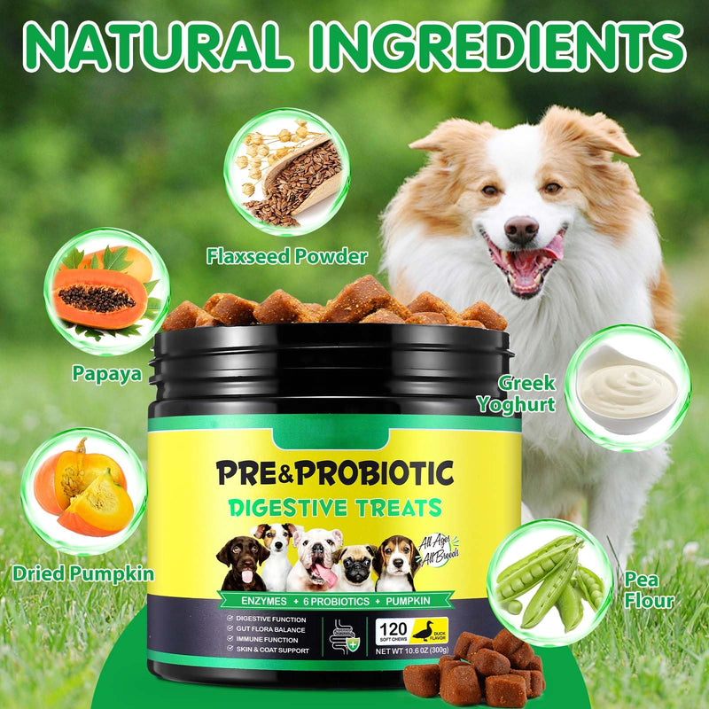 Probiotics for Dogs, 120 Soft Chews with Pumpkin, Flaxseed & Prebiotics | Digestive Health, Gut Balance, Itch Relief, Immune Support, Skin & Coat Care | Duck Flavor, All Breeds & Sizes 120pcs