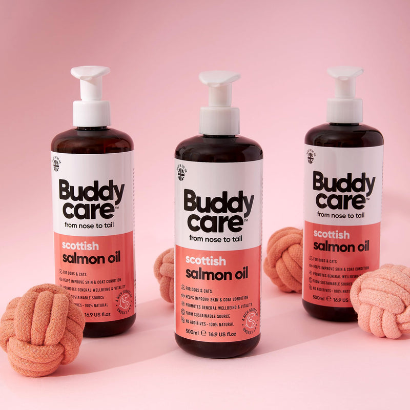 Buddycare Scottish Salmon Oil for Dogs and Cats (500ml x2) 100% Natural & Sustainable Supplement | Rich in Omega 3, 6 & 9 for Boosting the Health & Vitality of your Pet’s Skin, Coat & Immune System 500ml x2