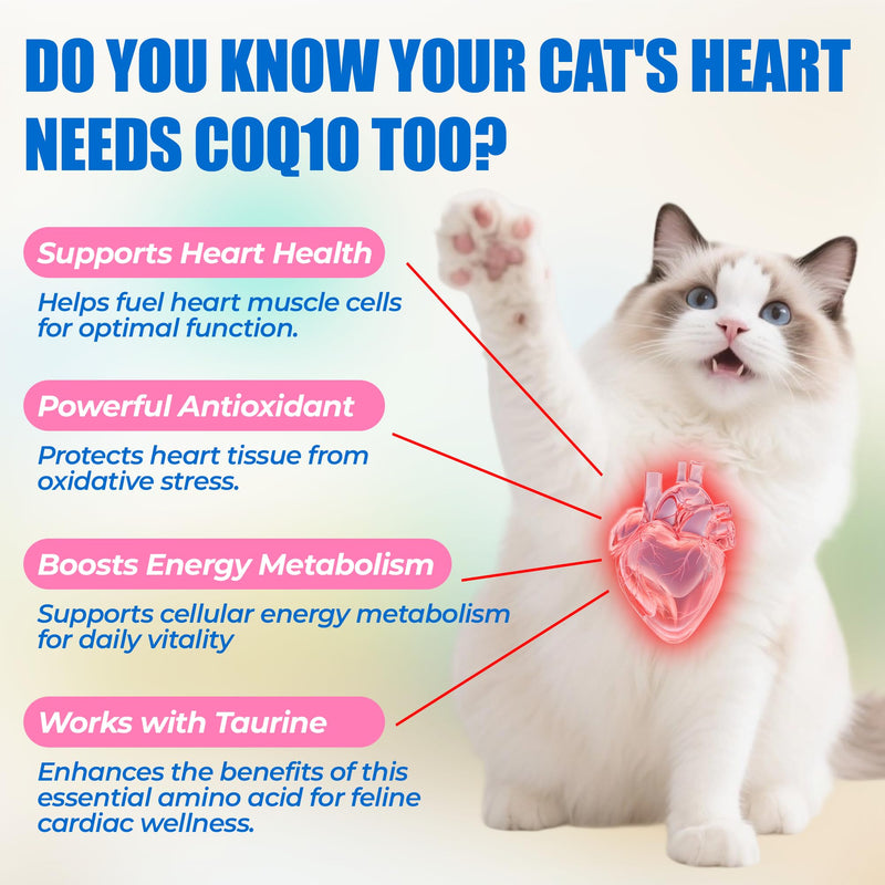 Just Try Coenzyme Q10 coq10 Bites for Cats - Advanced q10 & Taurine Cat Treats for Feline Heart Health - Chicken Flavored - Supports Heart Function - 300 Count 6.35 oz