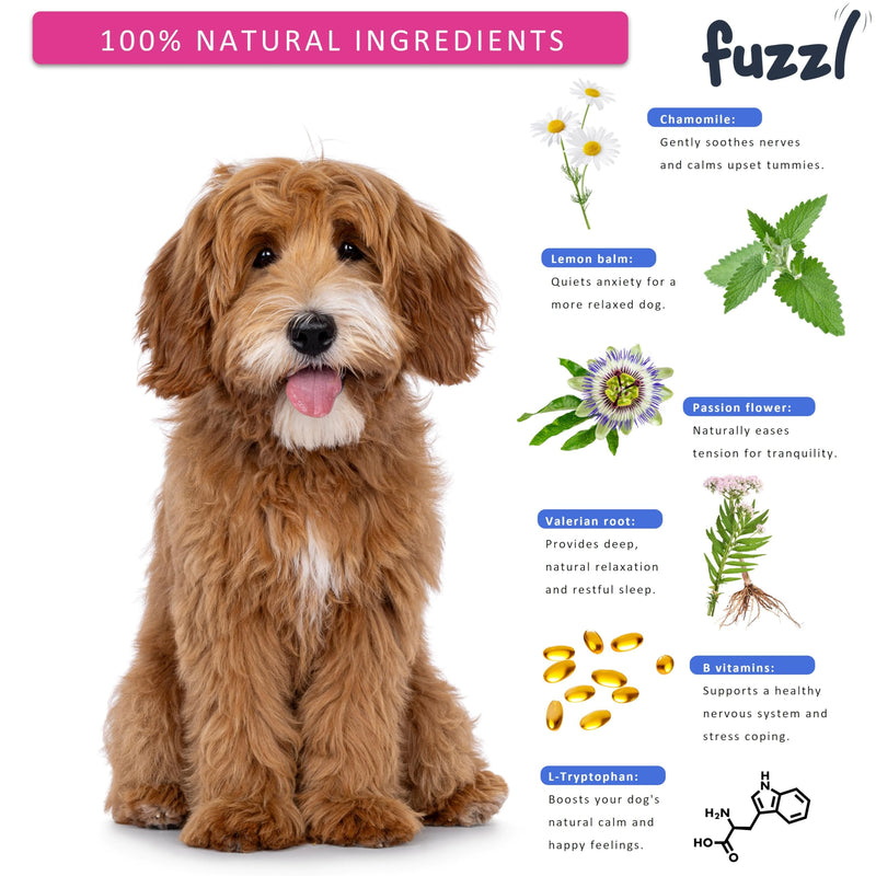 Fuzzl Calming Supplement Treats - Reduce Stress, Fear, Barking, Aggression, Separation and Travel Anxiety - Made in UK Science Backed Vet Approved 30 Treats