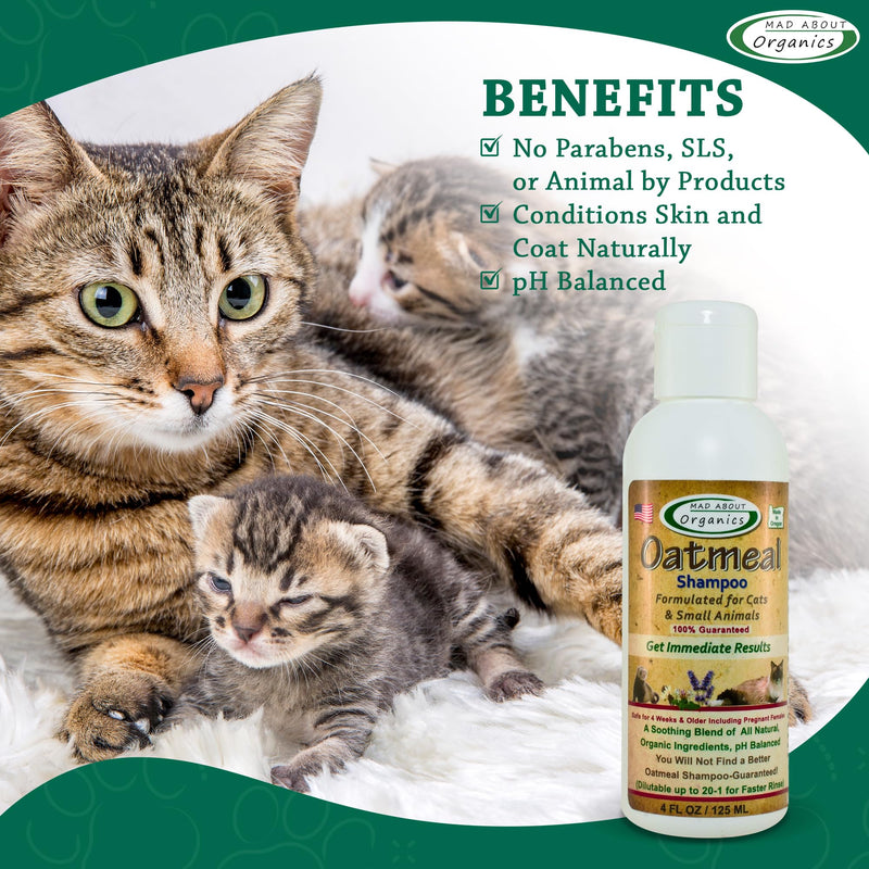 Cat Oatmeal Shampoo - Gentle, Moisturizing Small Pet Wash for Sensitive Skin, 4oz - BeesActive Australia
