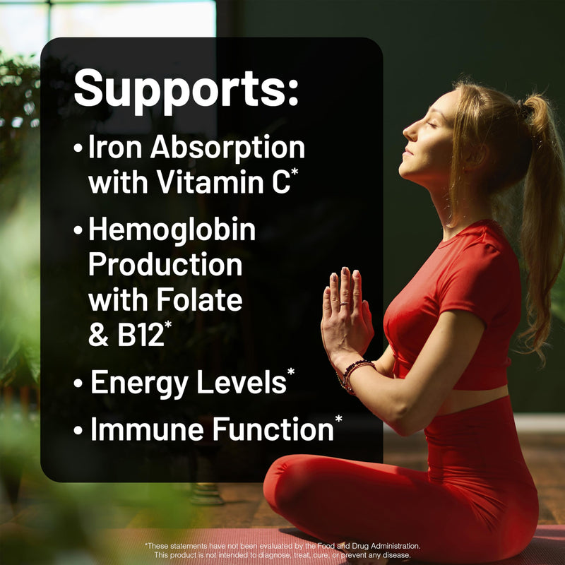 NatureWise Vegan Iron Supplement for Women & Men - Gentle on Stomach High Absorption - Coated Iron Bisglycinate Tablets + Vitamin C, Methyl B12, Folate & Organic Food Blend - 90 Tablets[90-Day Supply] Unflavored 90 Count (Pack of 1)