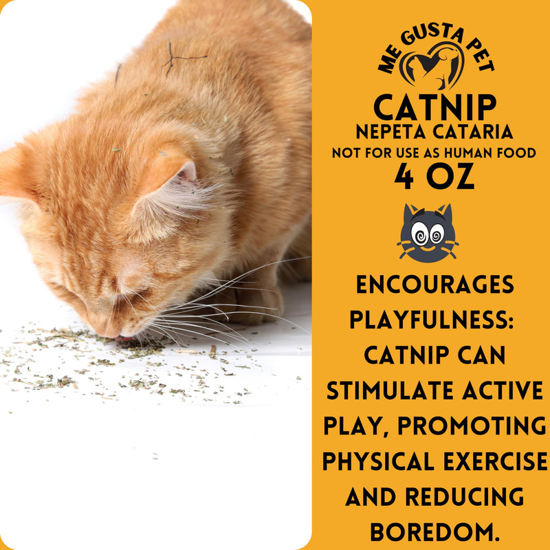 Catnip Cat Nip Blend | Premium Canadian Catnip Bulk Strong Cat Nip for Cats | Cat Nip Treats | All-Natural Cat Nip | Catnip Bag | Catnip Kitty Safe | Catnip Refill for Catnip Toys (4 Ounce) - BeesActive Australia