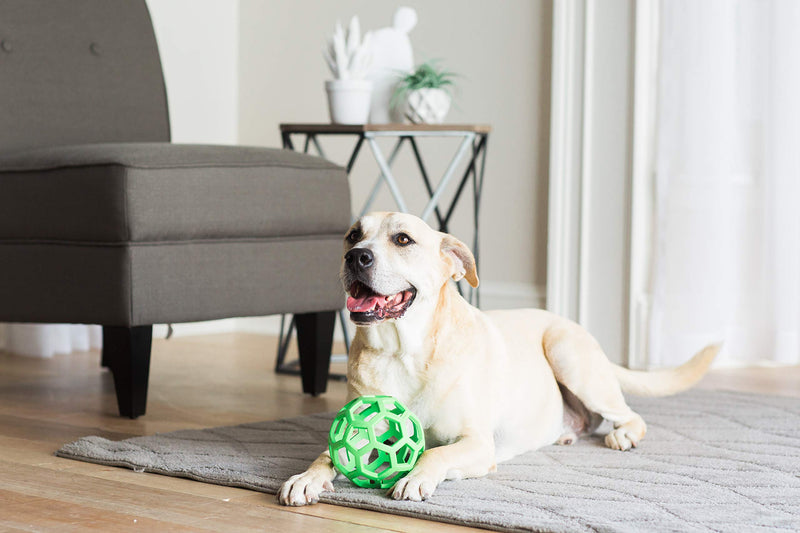 JW Pet Hol-ee Roller Dog Toy Puzzle Ball, Natural Rubber, Large (5.5 Inch Diameter), Colors May Vary Assorted - BeesActive Australia