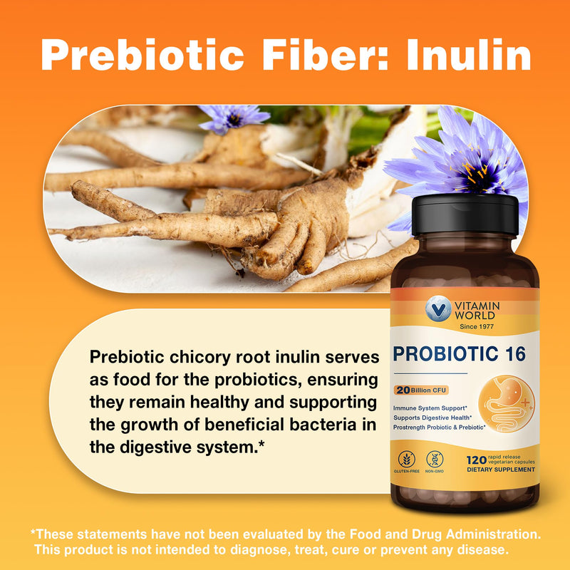 Vitamin World Probiotic 16, 20 Billion CFU, 16 Strains with Prebiotic Fiber | Digestive & Immune Health, Probiotics for Women & Men, Non-GMO, Gluten Free, 120 Veggie Capsules, 60 Day Supply