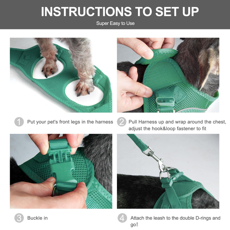 Fida Cat Harness and Leash Set for Walking Kitten and Puppy, Escape Proof Kitten Harness with Breathable Lightweight Soft Mesh, Adjustable Reflective Step-in Design. (XXXS, Green) XXXS (Neck:10.2"-11.4"; Girth:11.4"-12.6") Turquoise - BeesActive Australia