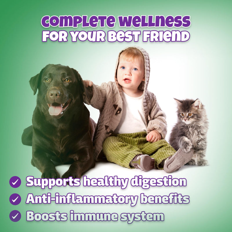 Natural Dog & Cat UTI Treatment with Cranberry & D-Mannose, Bladder, Kidney, Incontinence Support, Healthy Urinary Tract for Dogs, Best Cat Urinary Tract Infection Treatment, Easy-to-Use Drops, 2 oz 2 FL OZ