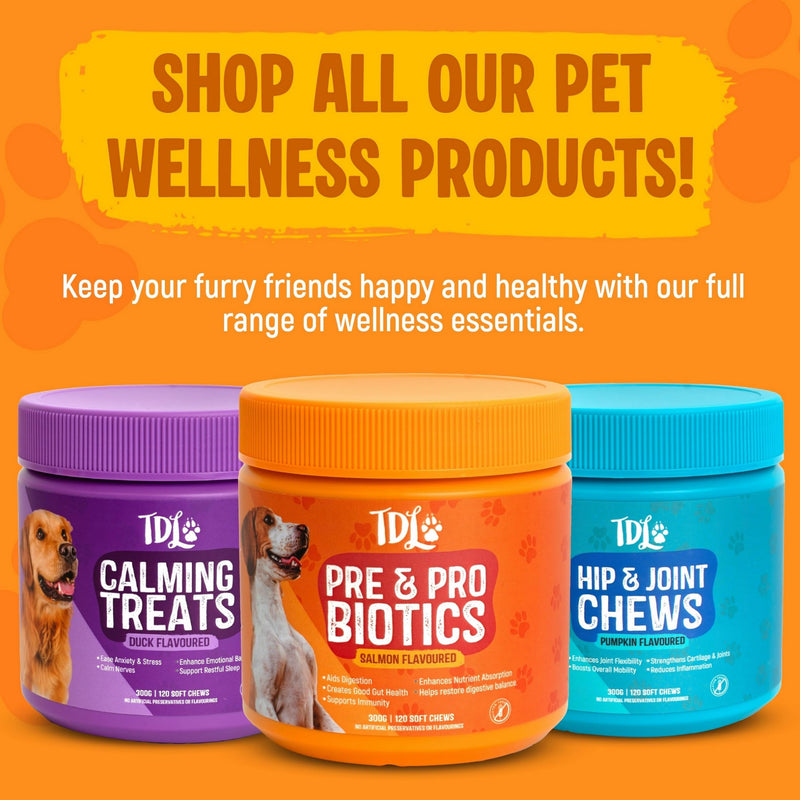 Dog Probiotic Supplements for Gut Health – 120 Soft Probiotic Chews for Dogs – Daily Canine Probiotics & Prebiotics to Support Digestion, Immunity & Sensitive Stomachs – Salmon Flavour Treats