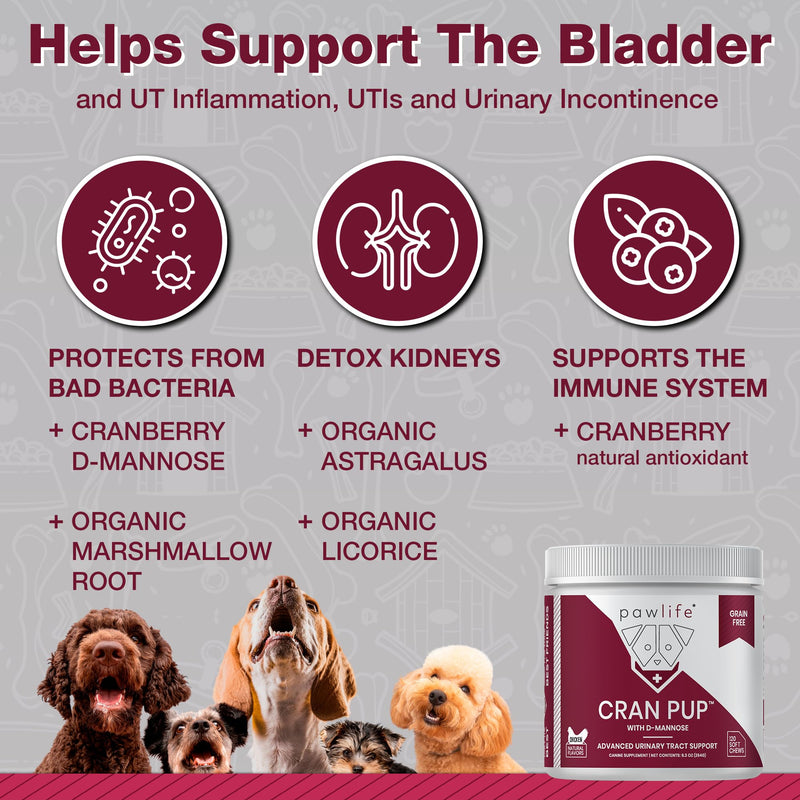 Cranberry Supplements for Dogs| Urinary Tract & Bladder Support| D Mannose & Antioxidants for Support| 120 Veterinarian Formulated Soft Chews| Up to 4-Month Supply Chicken 120 Count (Pack of 1)