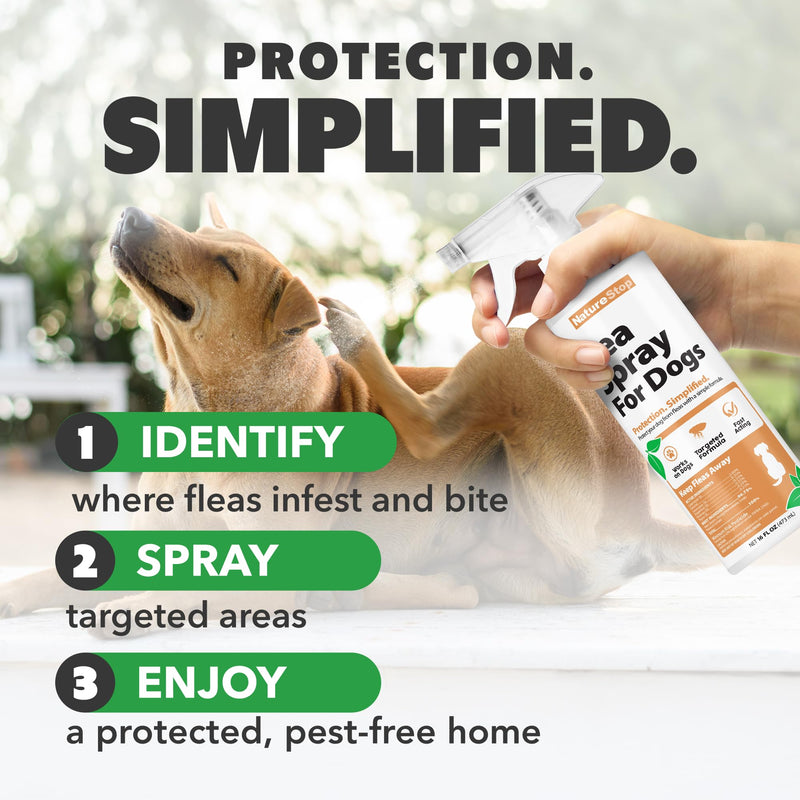 Flea Spray for Dogs – Indoor & Outdoor Flea Control Spray for Dogs, Pet Areas & Bedding