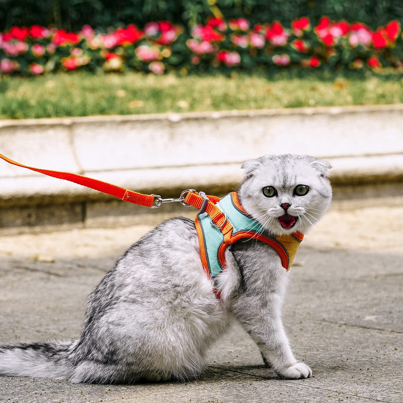 JSXD Cat Harness,Leash and Collar Set,Escape Proof Kitten Vest Harness for Walking,Easy Control Night Safe Pet Harness with Reflective Strap and Bell for Small Large Kitten,Fit for Puppy,Rabbit Medium (Pack of 1) Orange/Blue - BeesActive Australia