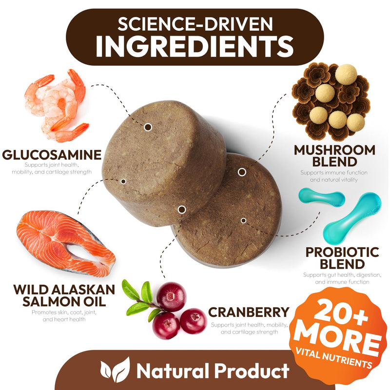 Turkey Tail Mushroom for Dogs - 250 Chews - Lion’s Mane - Shiitake - Reishi - Buddy Immune Support Guard - Lipoma Mushroom Supplement for Dogs Lumps and Bumps Glucosamine, Health Vitamins Multivitamin