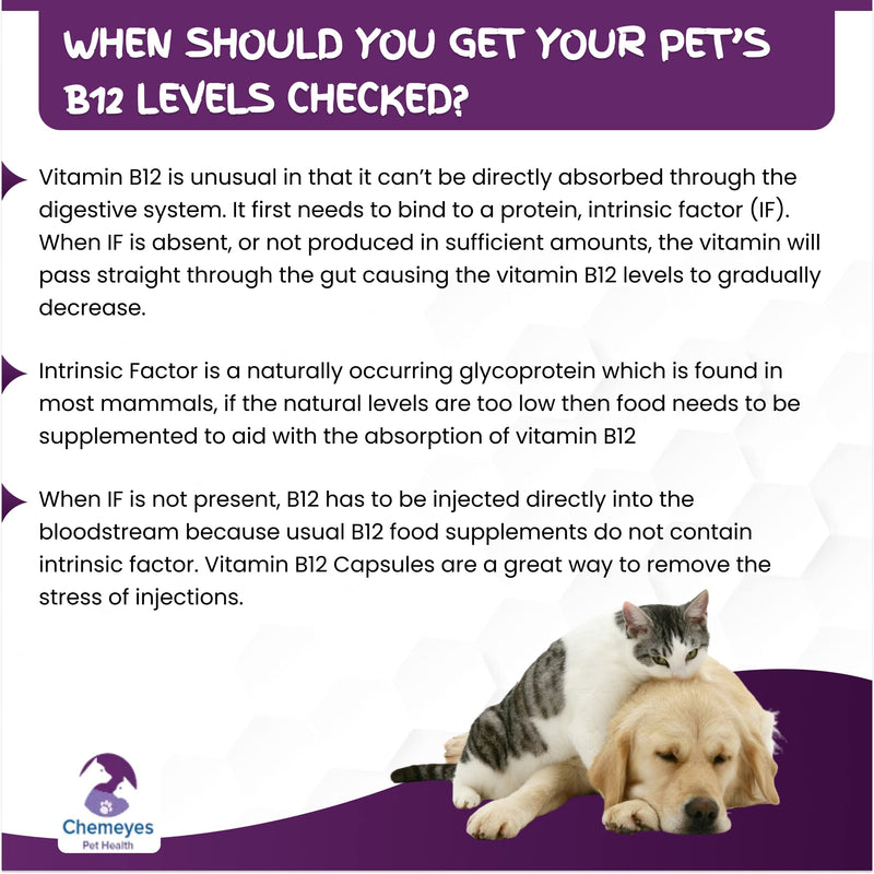 Vitamin B12 with Intrinsic Factor & Folic Acid by Chemeyes - Capsule Supplement for Dogs & Cats - Great Alternative to Vitamin B12 Injections - 1 Capsule Per 25kg Body Weight Per Day (100 Capsules) 100 Capsules
