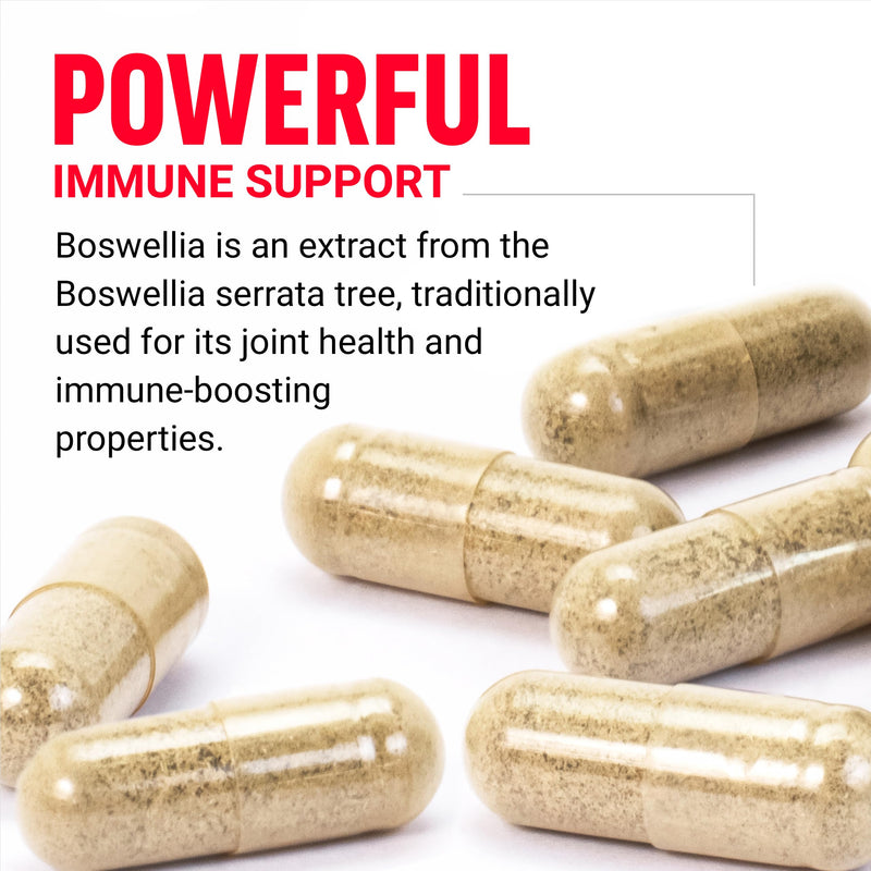 Force Factor Boswellia Extract Capsules | Joint Health Supplement for Women & Men, Made with Premium Boswellia Serrata Extract, Vegan, Non-GMO, 120 Capsules