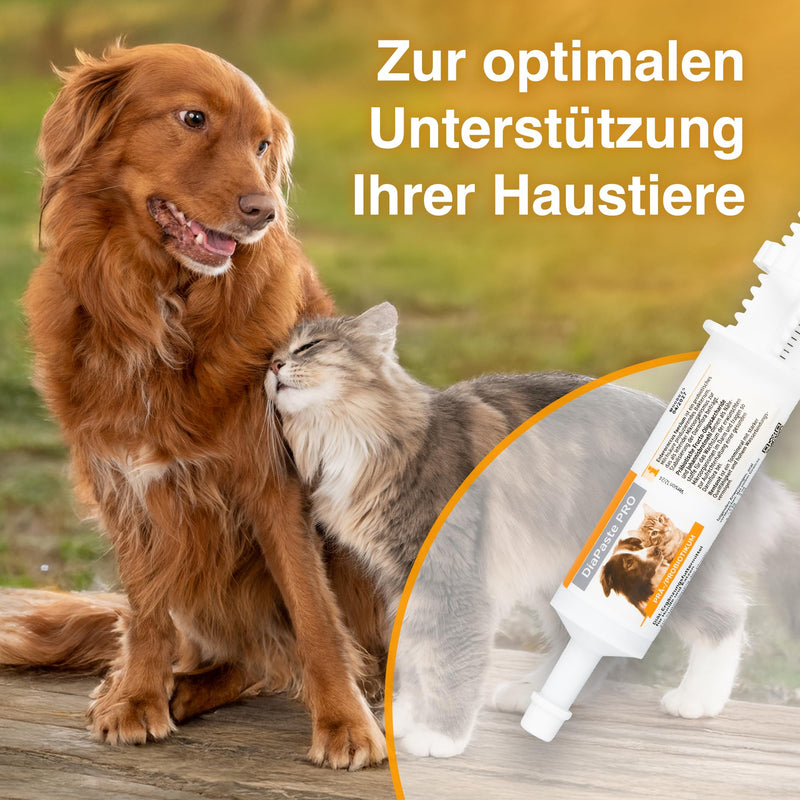 Alfavet DiaPaste PRO for Dogs & Cats (60 ml) – Prebiotic & Probiotic Paste – Digestive Support, Gut Flora Balance, Stool Consistency, Easy-to-Use Oral Injector