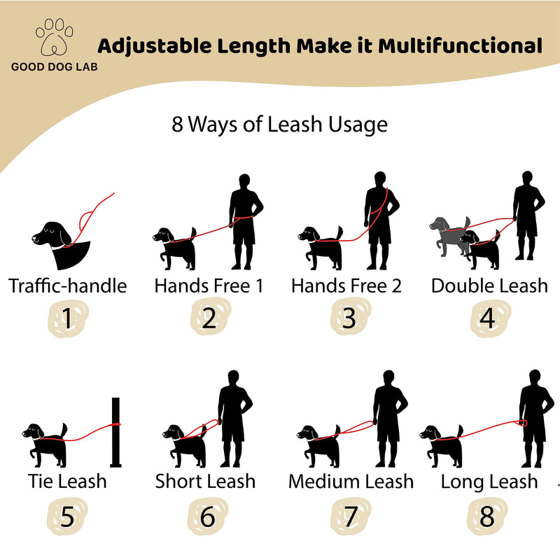 Heavy Duty Hands Free Dog Leash for Medium to Large Dogs for Comfortable Running, Jogging Walking | Dual D-Rings | Soft Padded Traffic Handle | Both Ends 360 Rotating Carabiners (Leash Length 7.7 ft) Beige Dual Side Ring - 7.7 ft - BeesActive Australia