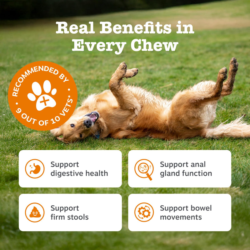 Zesty Paws Scoot Away Chews for Dogs | Supports Anal Gland Function, Digestive Health & Bowel Movements | With Prebiotic Fibre, Oligofructose, Flaxseed Oil, Toasted Pumpkin Seed| Daily Use | 90 Chews