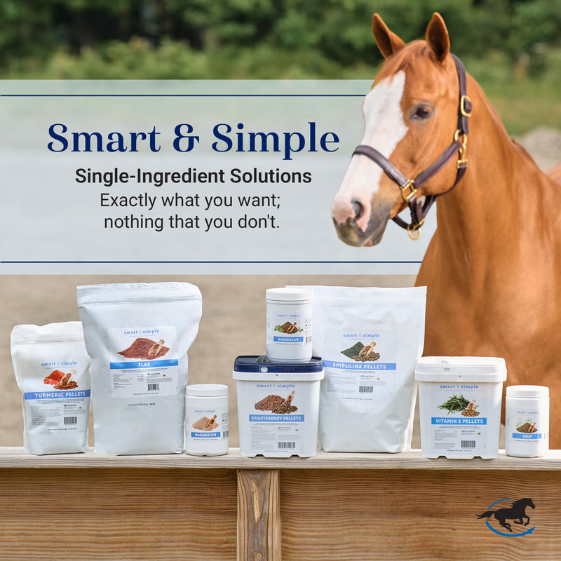 SmartEquine Smart & Simple Magnesium Horse Supplement | Supports Metabolism and Muscle Function | 154 Servings | 3 lb