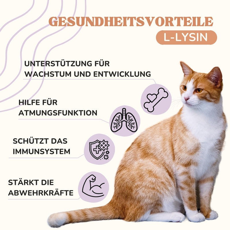 Lamina Care - L Lysine Cat as a remedy for cat colds, natural L-Lysine strengthens the cat's immune system, L Lysine powder with a pleasant taste and easy to incorporate into daily food - BeesActive Australia