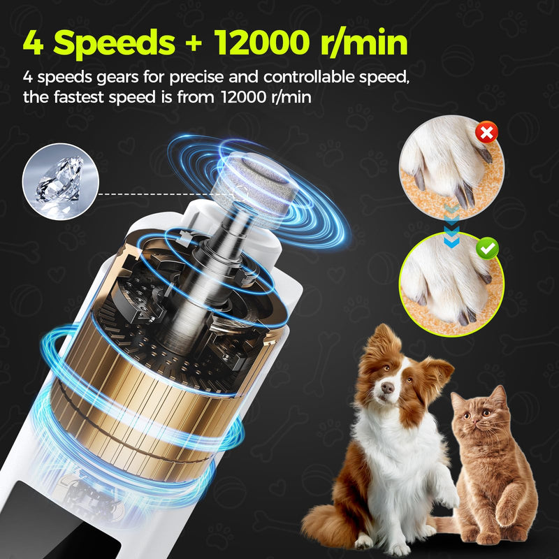 Dog Nail Grinder Quiet - 45db 4 Speed 4 Ports 12000 r/min USB Rechargeable Electric Professional Pet Dog Nail Trimmers with LED Lights for Large Medium Small Puppy Dogs/Cats - White - BeesActive Australia