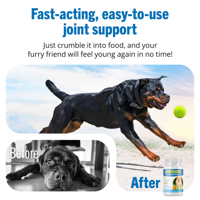 JOINTSURE Joint Supplements for Dogs – 120 Tabs, Joint Structure & Mobility for Dogs| Advanced Formula 120 Tablets