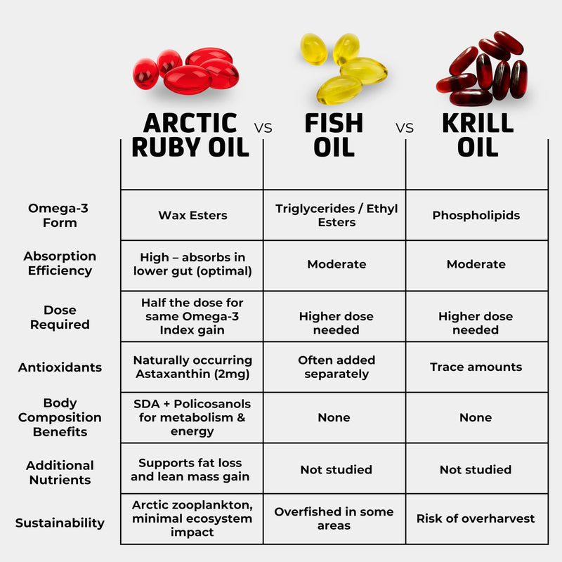 Arctic Ruby Oil 1000mg Omega 3 Supplement with EPA DHA 60 Softgels, 1 Pack | for Women and Men, Astaxanthin 2mg, Fish & Krill Oil Alternative, Arctic calanus oil, no fishy aftertaste, wellness support