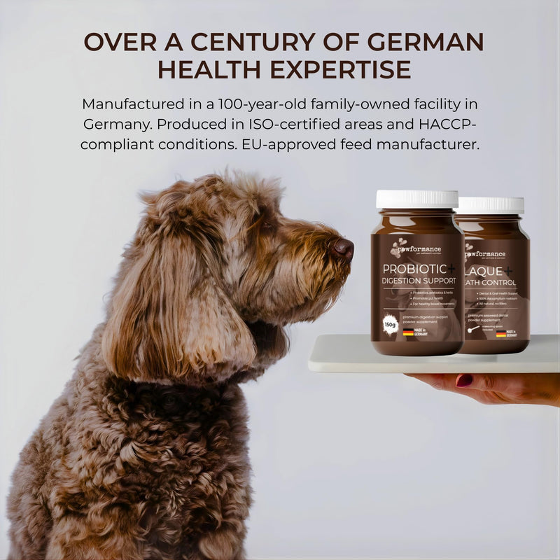 Dog Dental Powder for Plaque & Tartar | Made in Germany | 100% Natural Seaweed (Ascophyllum Nodosum) | Fresh Breath & Gum Support | No Brushing Required | 150g Pawformance