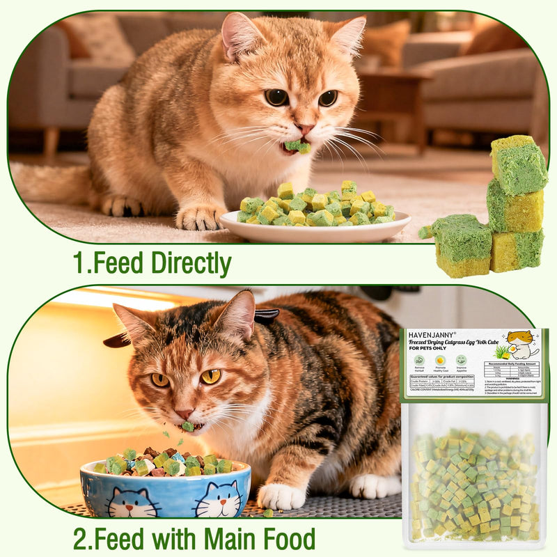 Freezed-Dried Cat Grass Treats, Catgrass Egg Yolk Duo Bites, Cat Dental Treats for Hairball Control and Healthy Coat, Cats Teething Stick (60g, EggYolk) 2.11 Ounce (Pack of 1)