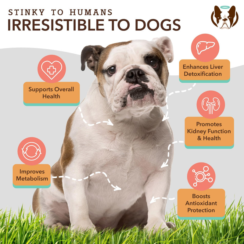Natural Dog Company Senior Dog Liver Health Bundle Supplement Chews for Dogs, (1) Multivitamin Chews 90 Count, (1) Liver & Kidney Chews 90 Count, Milk Thistle for Dogs, Dog Vitamins & Supplements - BeesActive Australia