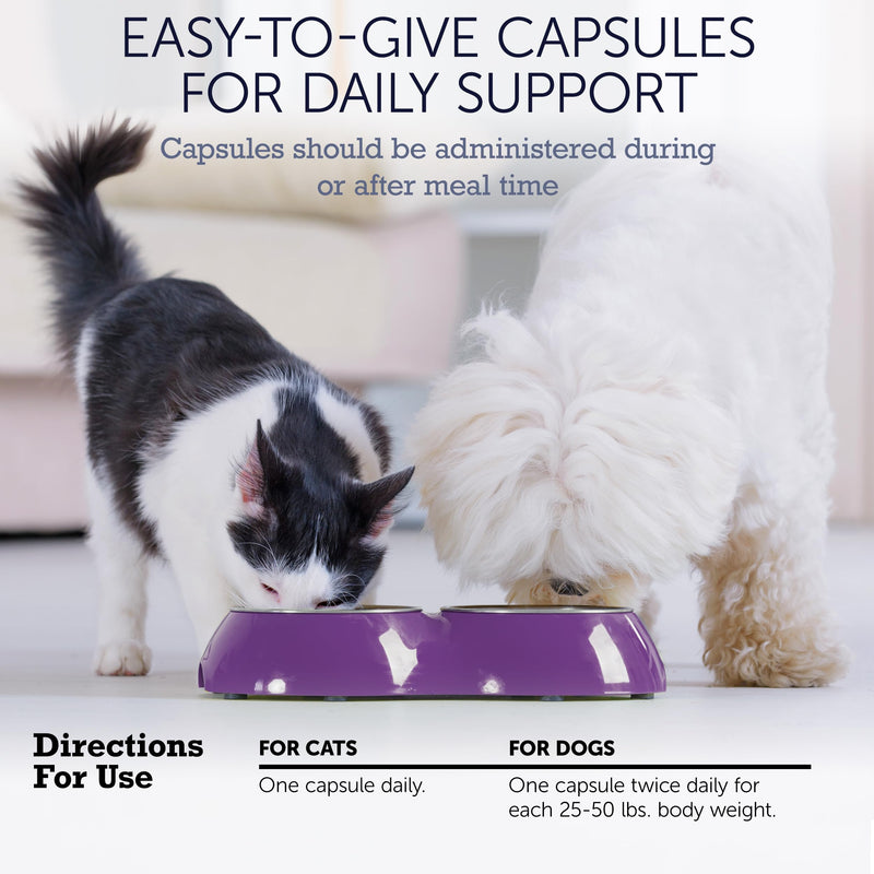NuLife Hepato Support - Liver Support for Dogs and Cats with Silymarin - Contains Milk Thistle for Dogs & Cats and Vitamin B Complex (B1, B2, B6, B12) - Promotes Canine & Feline Hepatic Health - 180ct
