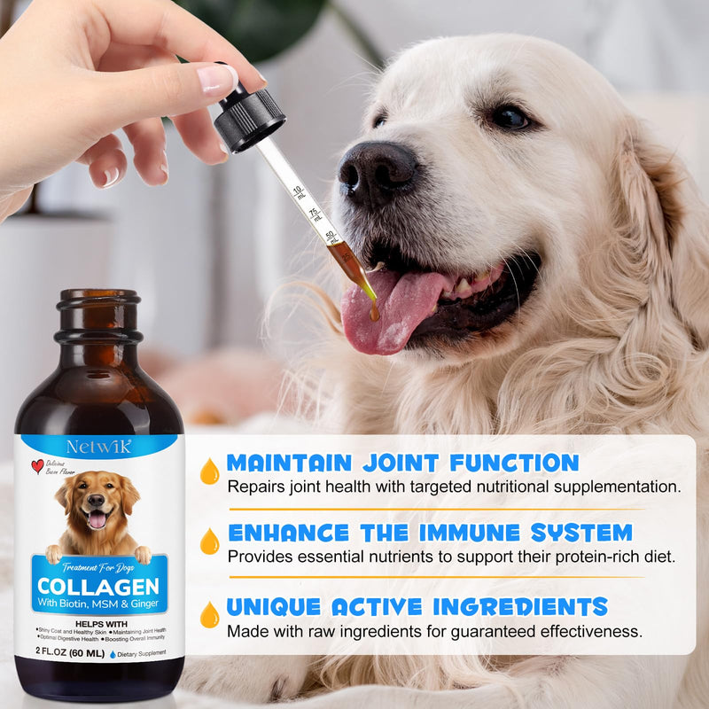 Collagen for Dogs - Skin and Coat Supplement for Dogs, Dog Liquid Collagen, Collagen Supplement for Dogs - Collagen with Biotin, MSM & Ginger - 2 fl oz - PawsPlanet Australia