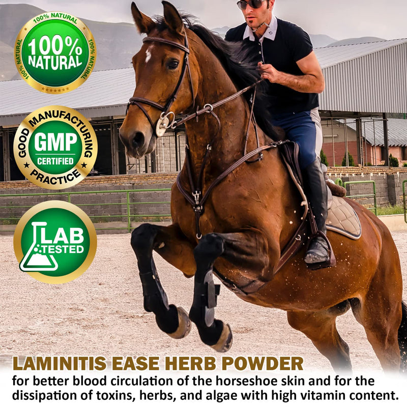 V-POINT - Laminitis Ease - hoof supplements for horses - horse hoof care product based on natural herbal powder - Ideal for hooves Health and Conditioning (1.0 lb) - BeesActive Australia