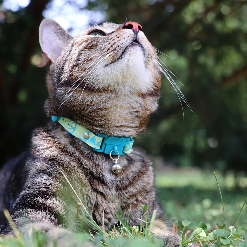 Botanicals Jungle Cat Collar. Award Winning. Hypoallergenic, Quick Release Breakaway, Comfy & Soft. Vet Approved. Other Styles Available Adult - BeesActive Australia