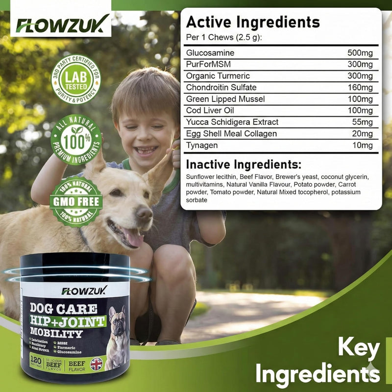 Dog Care Supplement - All-Natural Hip and Joint Supplements for Dogs - Dog Joint Itch Chews with Glucosamine, Turmeric, MSM - Beef